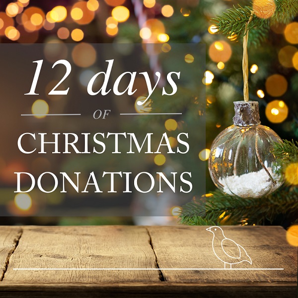 12 Days of Christmas Donations 2022