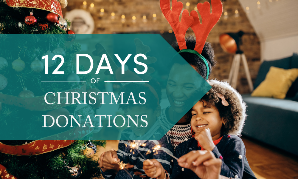 12 DAYS OF CHRISTMAS DONATIONS 2023