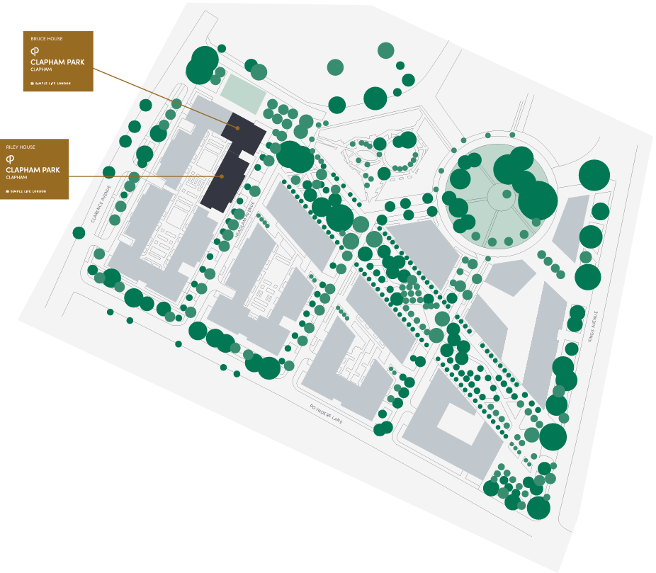 clapham-site-layout