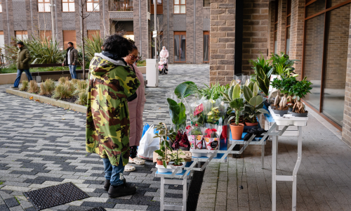A Spontaneously Successful Plant Pot Painting Event at Fresh Wharf
