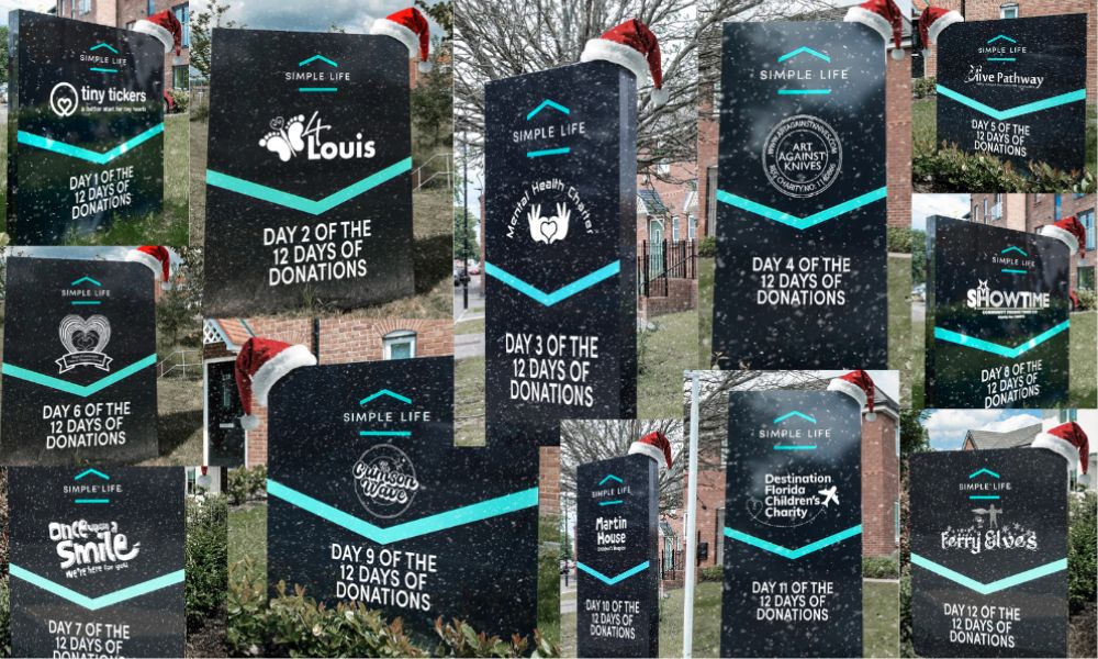 12 Days of Christmas 2024