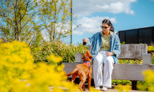 Beam Park’s Local Hidden Gems